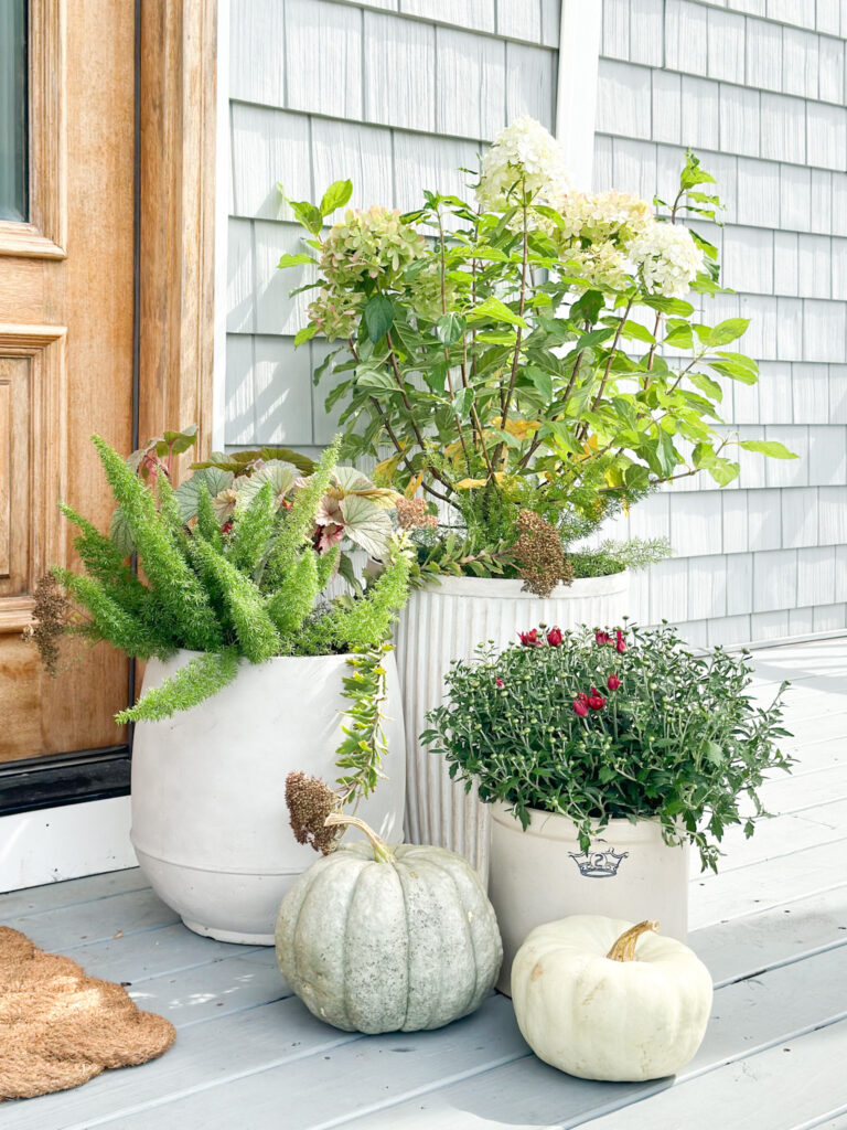 green and pink plants, fall porch planters