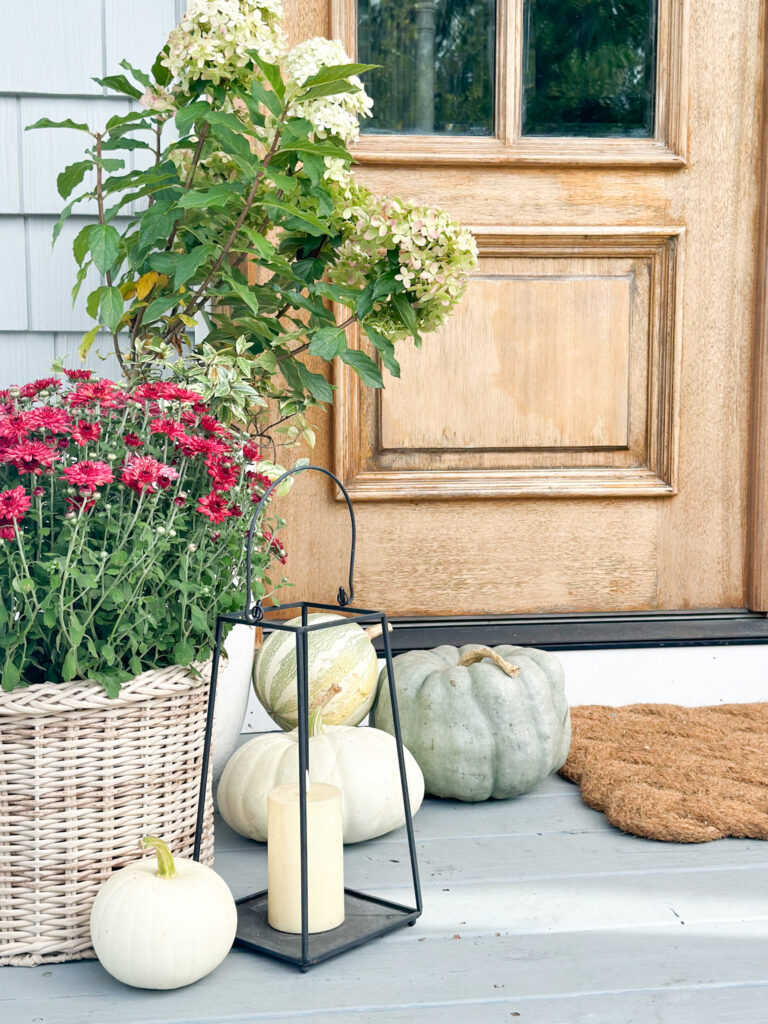 rattan planter with pink mum and neutral pumpkins, wood door